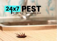 247 Cockroach Control Melbourne image 2
